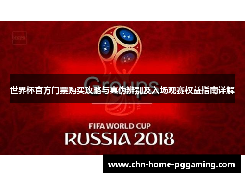 世界杯官方门票购买攻略与真伪辨别及入场观赛权益指南详解